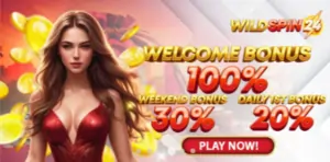 wildspin24