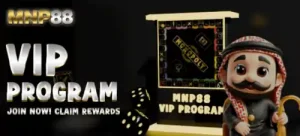 vip