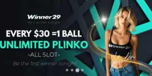 WINNER29