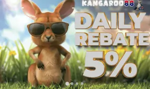 daily rebate