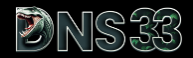 DNS33