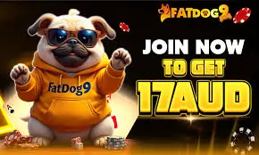 17aud bonus