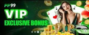 EXCLUSIVE BONUS